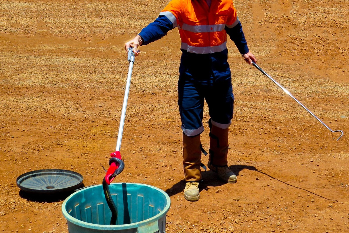 60-Second Snake Safety Summary