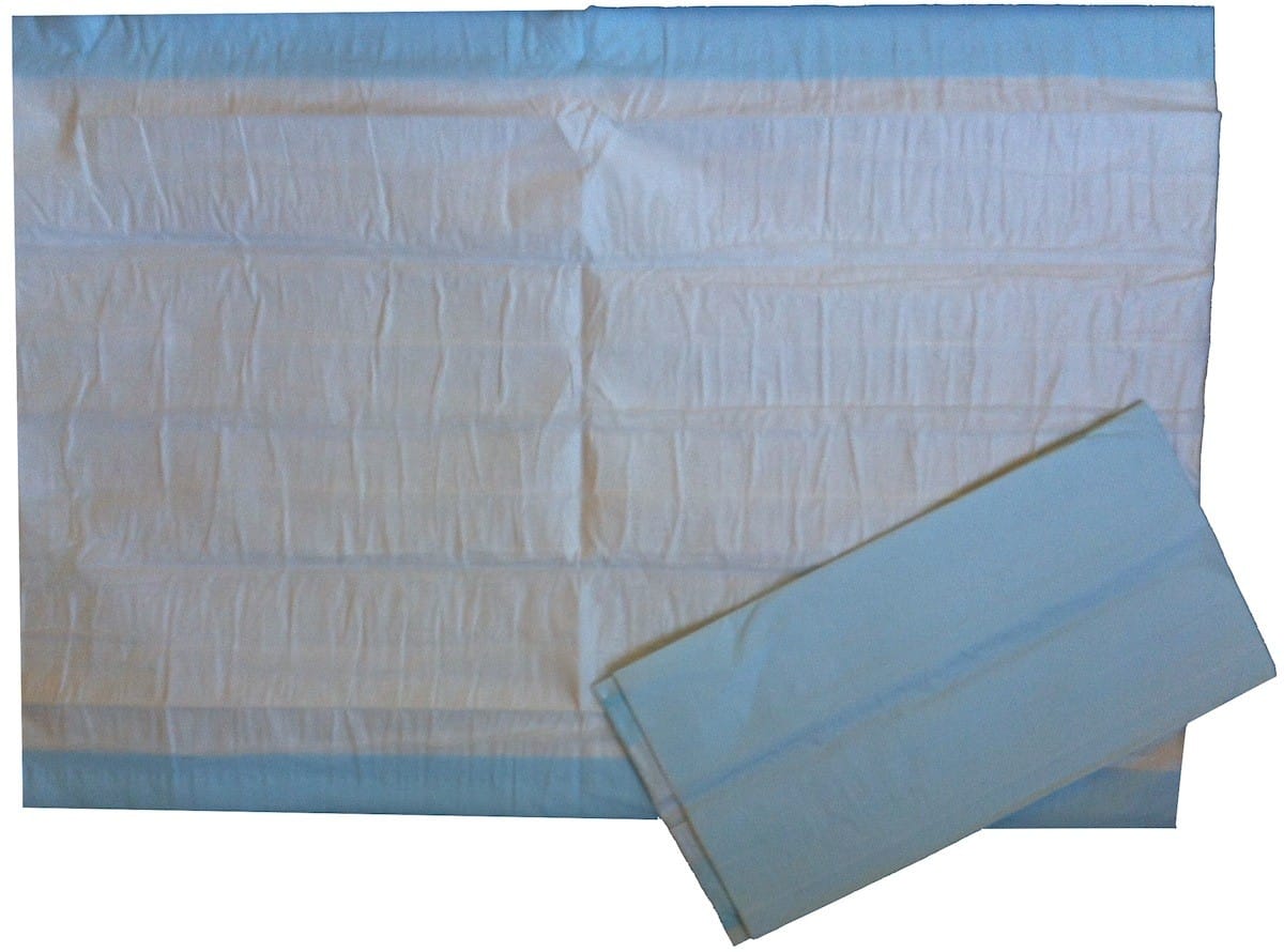 Disposable Blue Underpad (Bluey) - Pack of 10 (43cm x 60cm) - Product showcase image 1 at LFA First Response